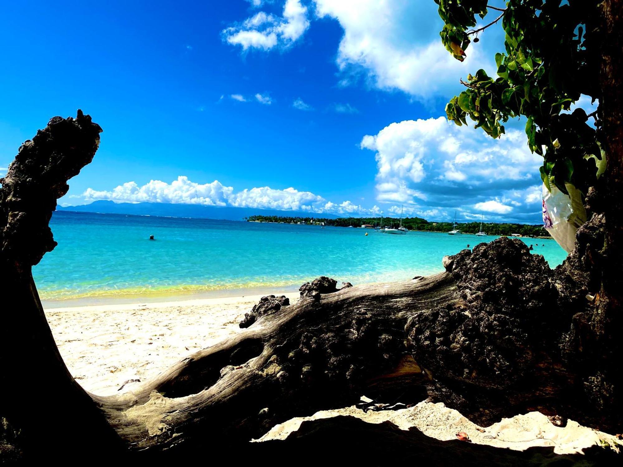 Ti Kaz An Nou Hébergement de vacances Sainte-Anne (Grande-Terre)